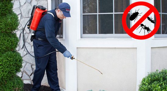 Harmandalı Bit İlaçlama böcek ilaçlama ve haşere kontrolü — ilaclama-tr.com